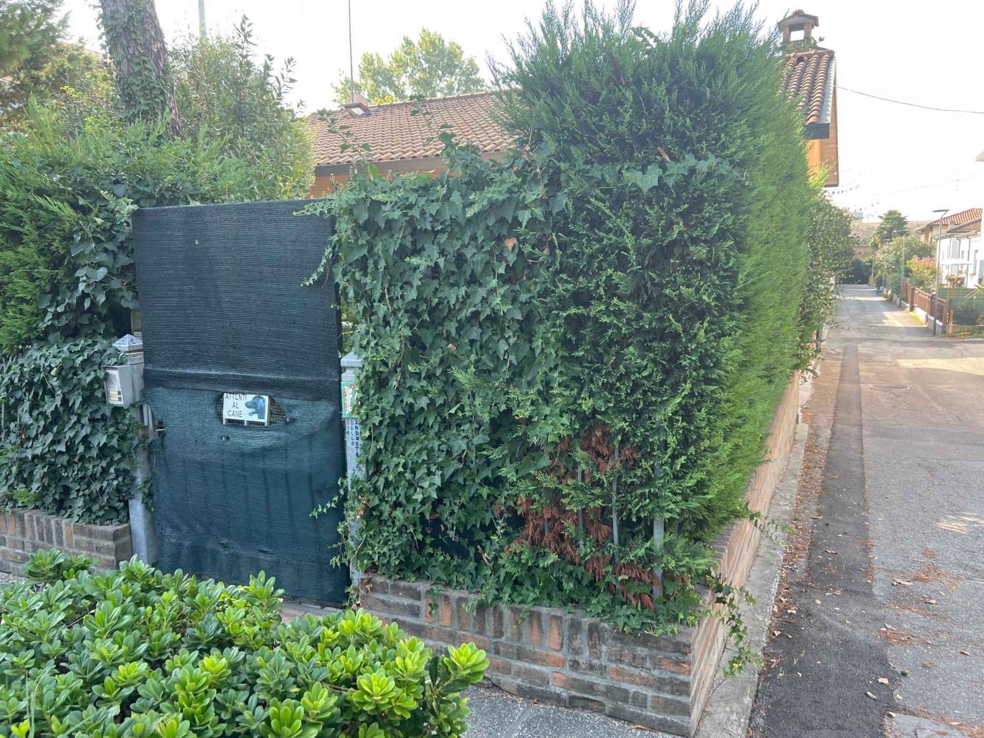 Cozy House Giulia, Wi - Fi , Parking Lejlighed Ravenna Eksteriør billede